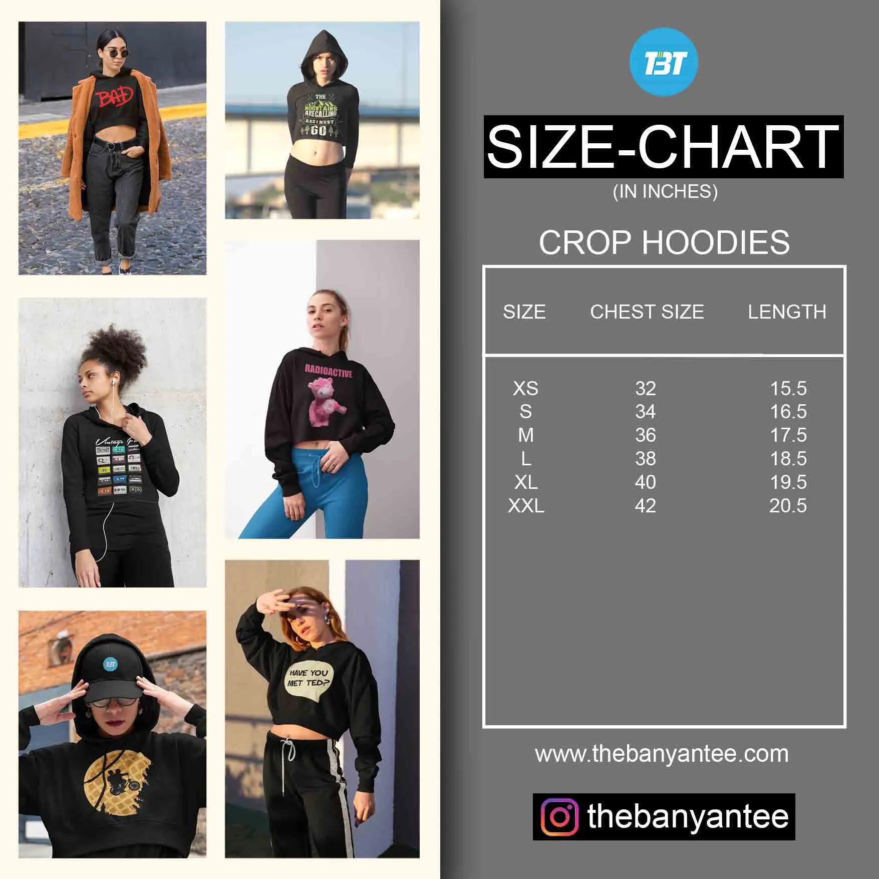 Aerosmith Crop Hoodie - Dream On Typgraphy