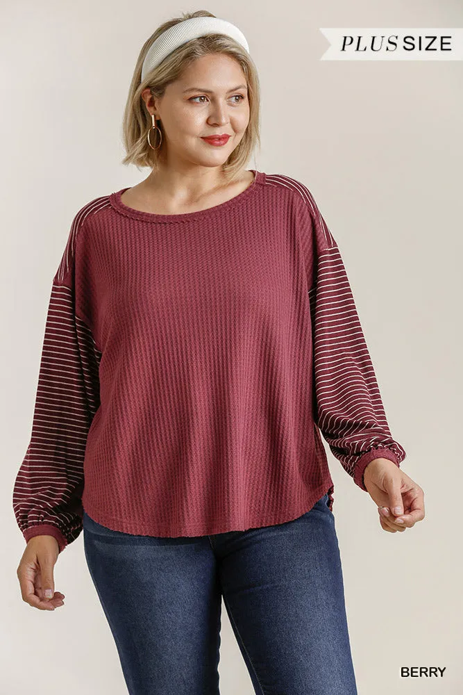 Umgee Berry Striped Ribbed Sleeve Top In A Waffle Knit With High Low Hem Plus