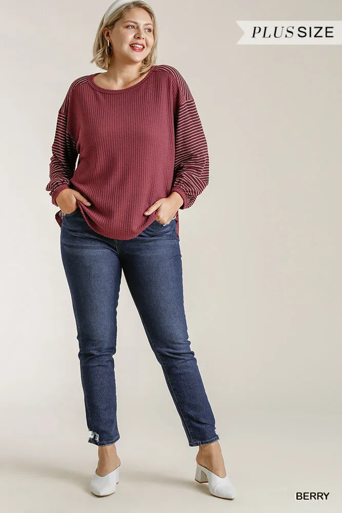 Umgee Berry Striped Ribbed Sleeve Top In A Waffle Knit With High Low Hem Plus